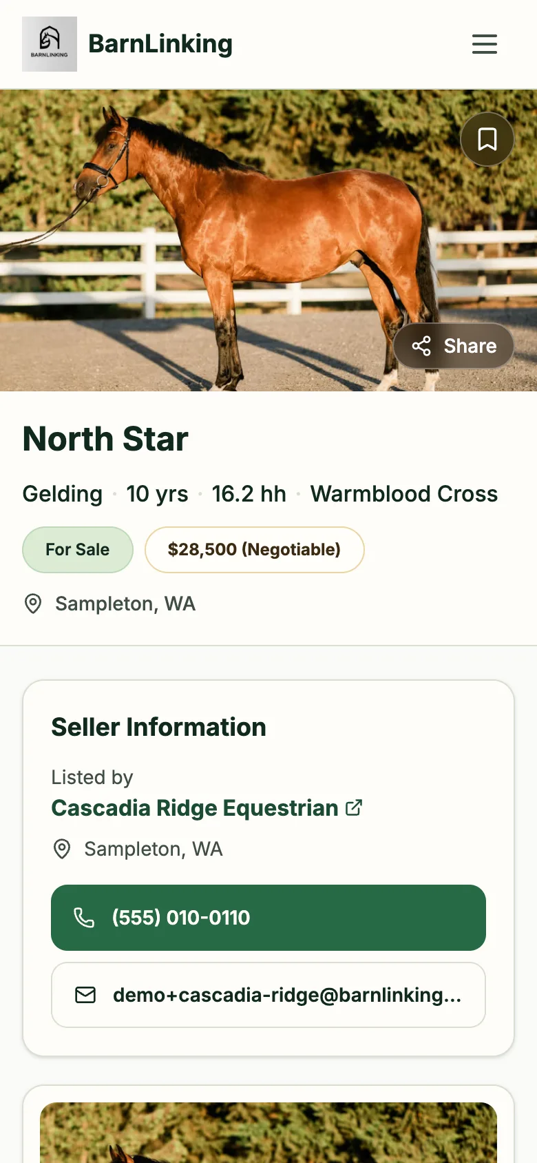 The same horse listing on a phone, with the seller's contact near the top